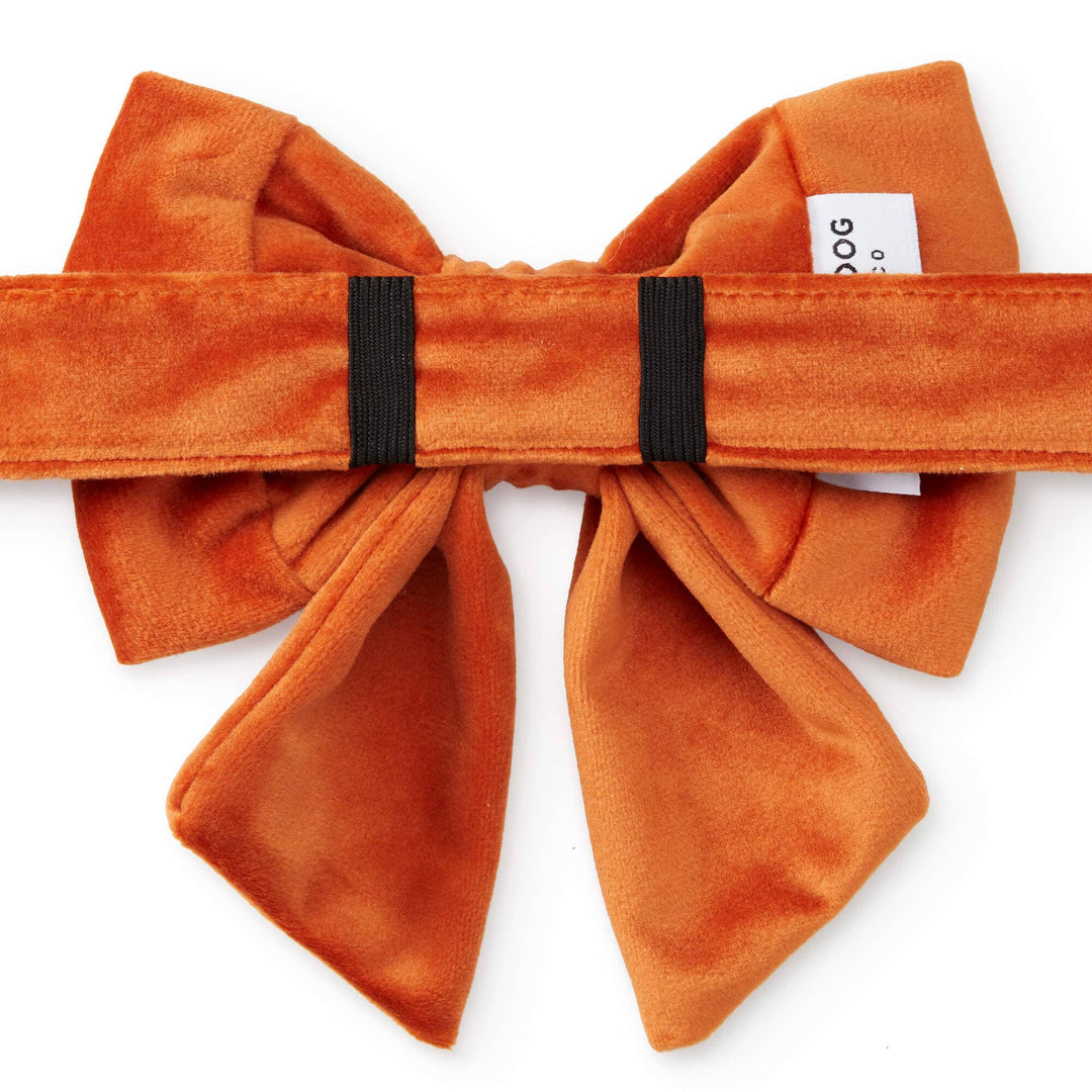 Pumpkin Velvet Lady Dog Bow - Gabrielle's Biloxi