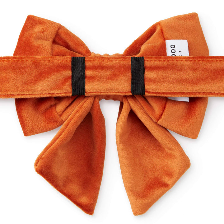 Pumpkin Velvet Lady Dog Bow - Gabrielle's Biloxi