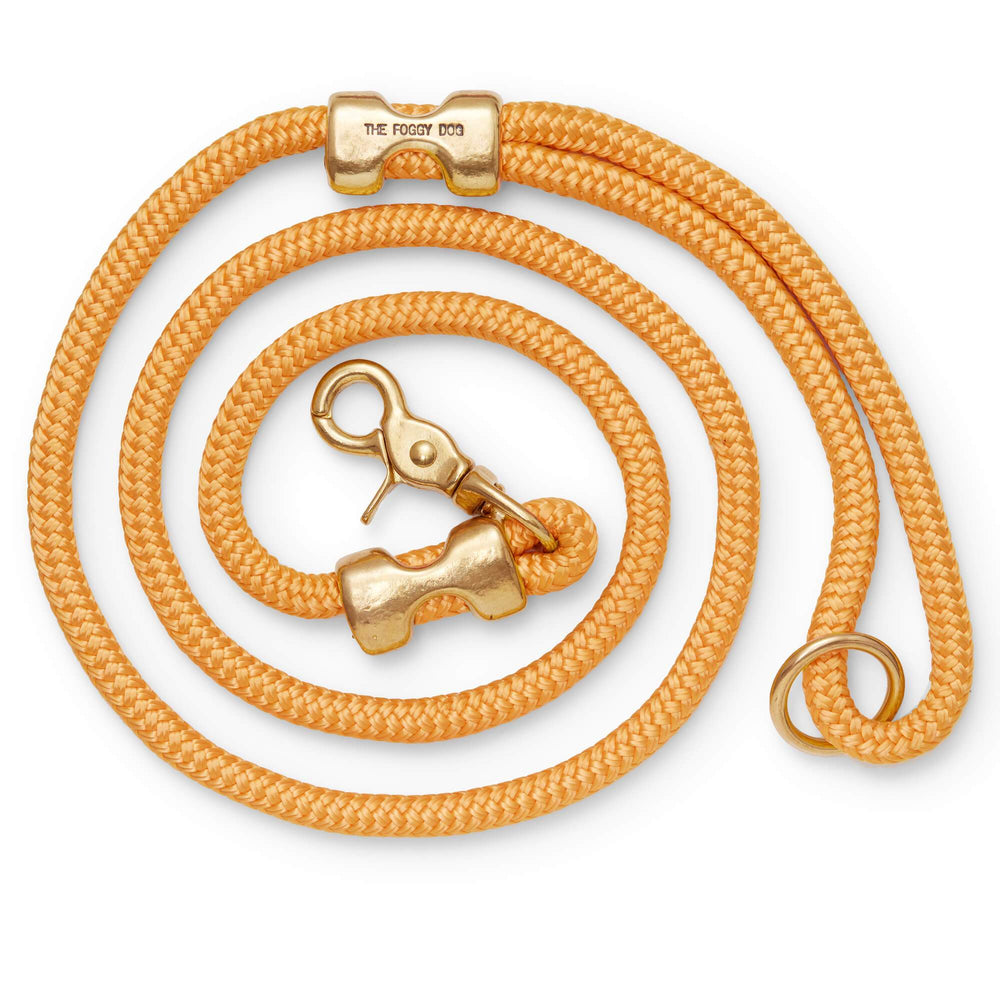 Goldenrod Marine Rope Dog Leash - Gabrielle's Biloxi