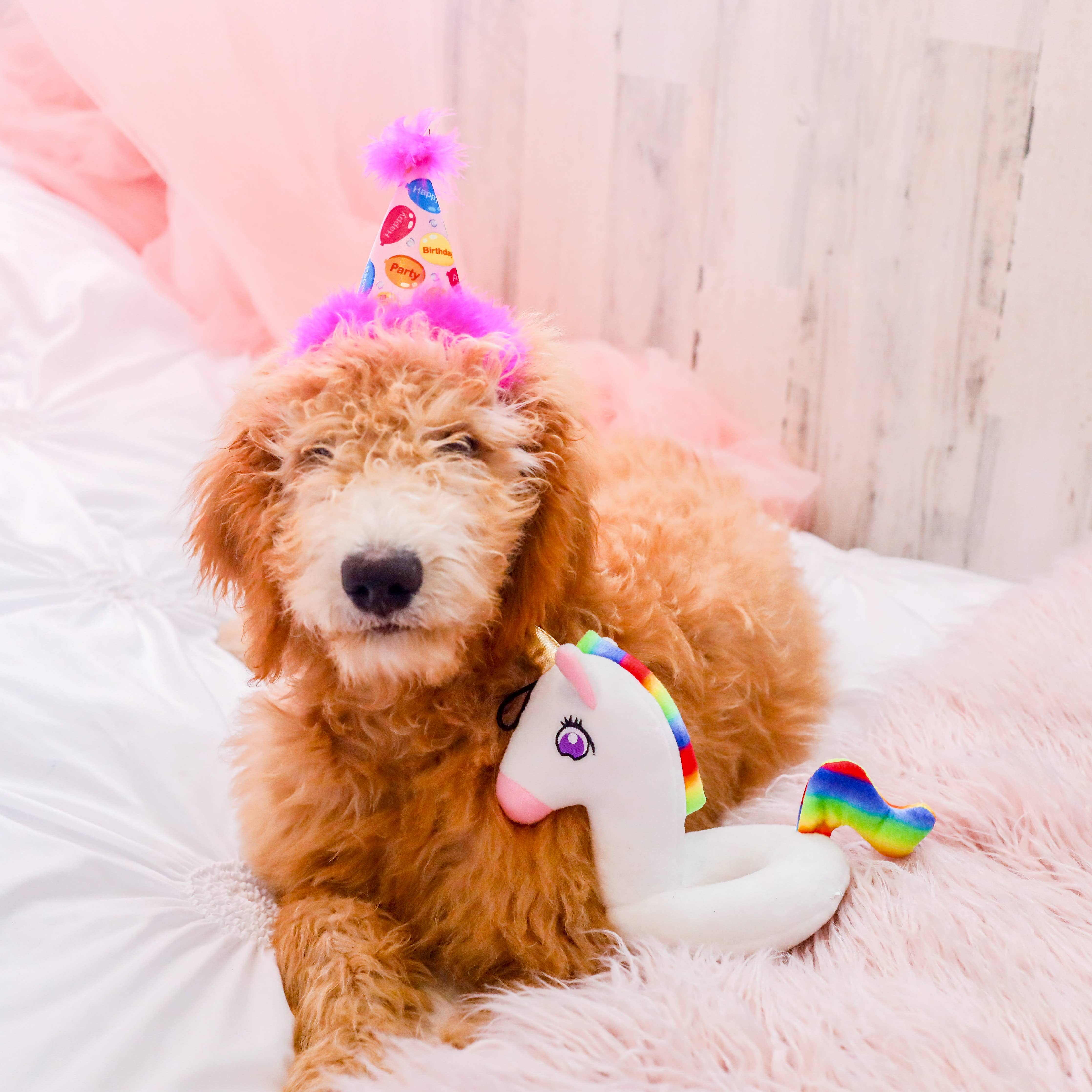 H&K Party Hat - Party Time Pink with SnugFit® - Gabrielle's Biloxi