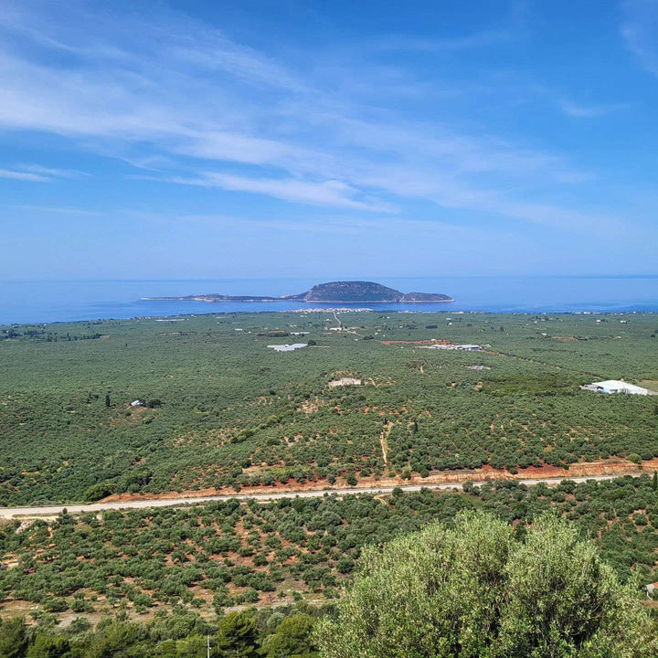 Select Extra Virgin Olive Oil 8.45 fl oz size (250 ml) - Gabrielle's Biloxi