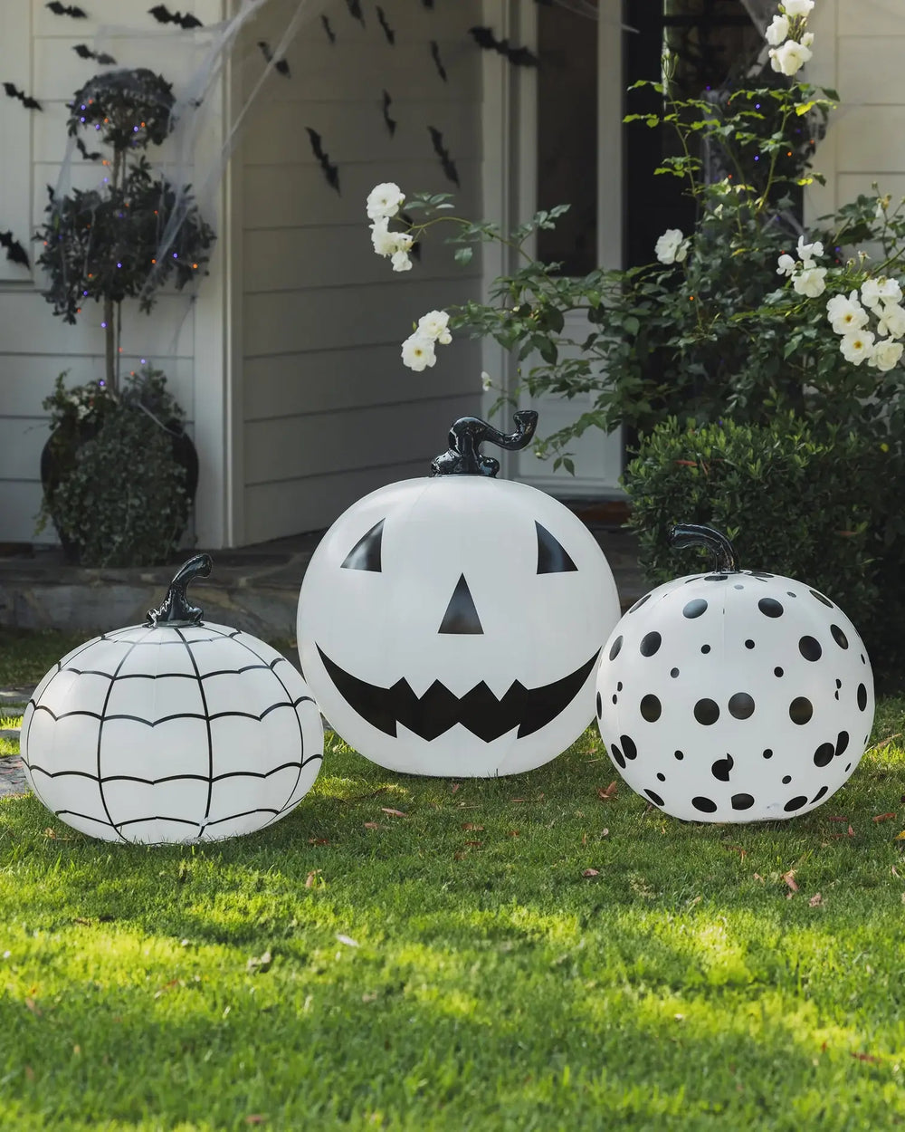Black and White Halloween Pumpkins - Gabrielle's Biloxi