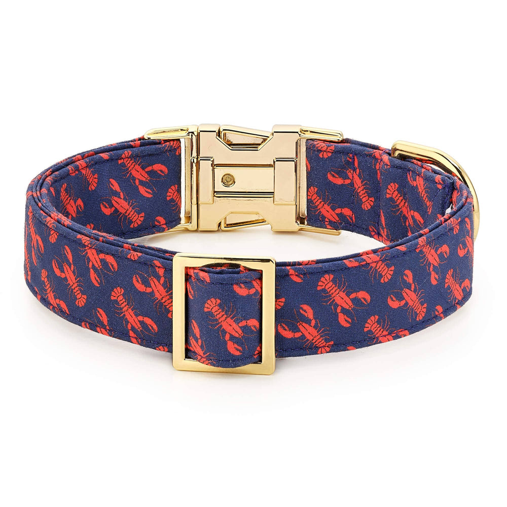 Catch of the Day Navy Dog Collar - Gabrielle's Biloxi