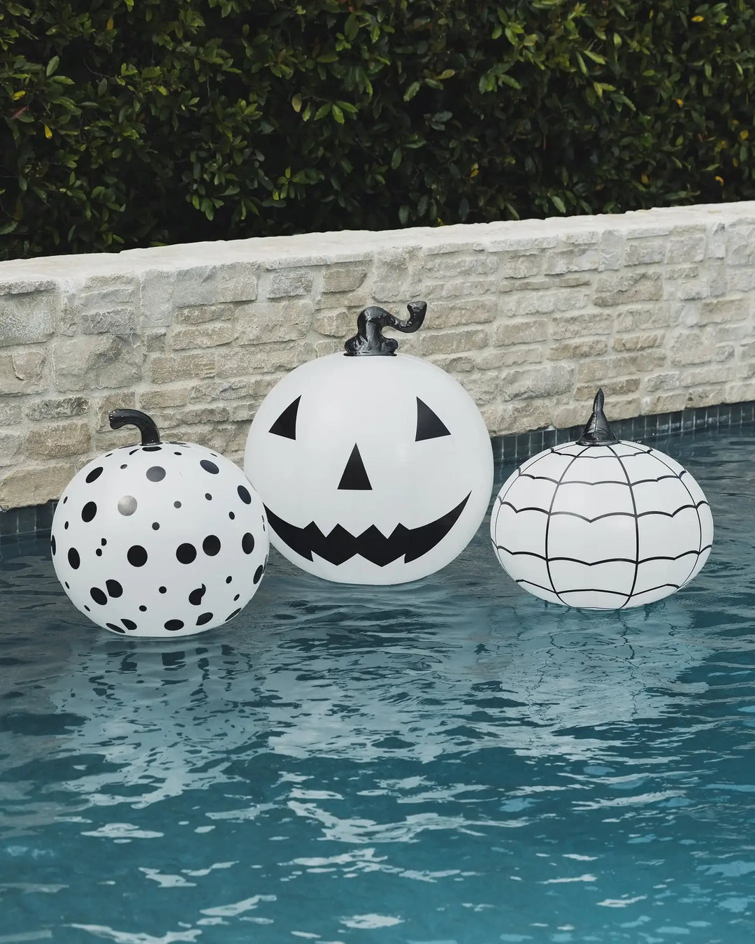 Black and White Halloween Pumpkins - Gabrielle's Biloxi