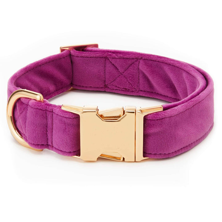 Plum Velvet Dog Collar - Gabrielle's Biloxi