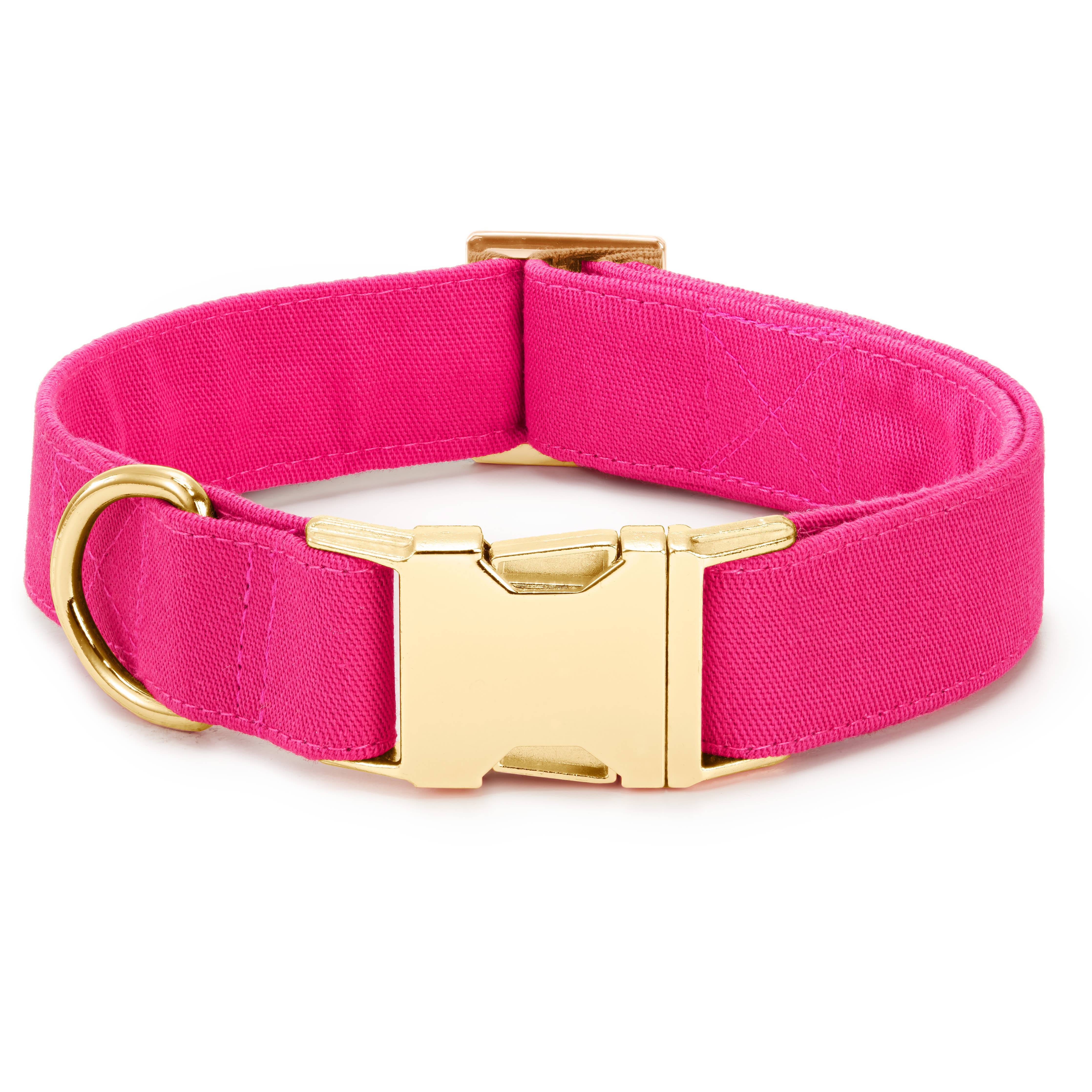 Hot Pink Dog Collar - Gabrielle's Biloxi