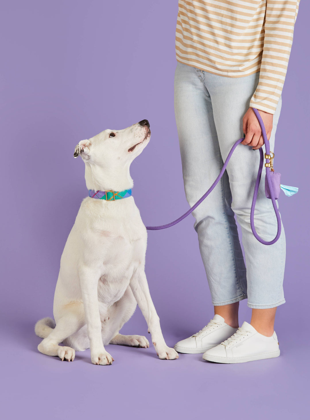 Violet Marine Rope Dog Leash: Petite 5 feet - Gabrielle's Biloxi