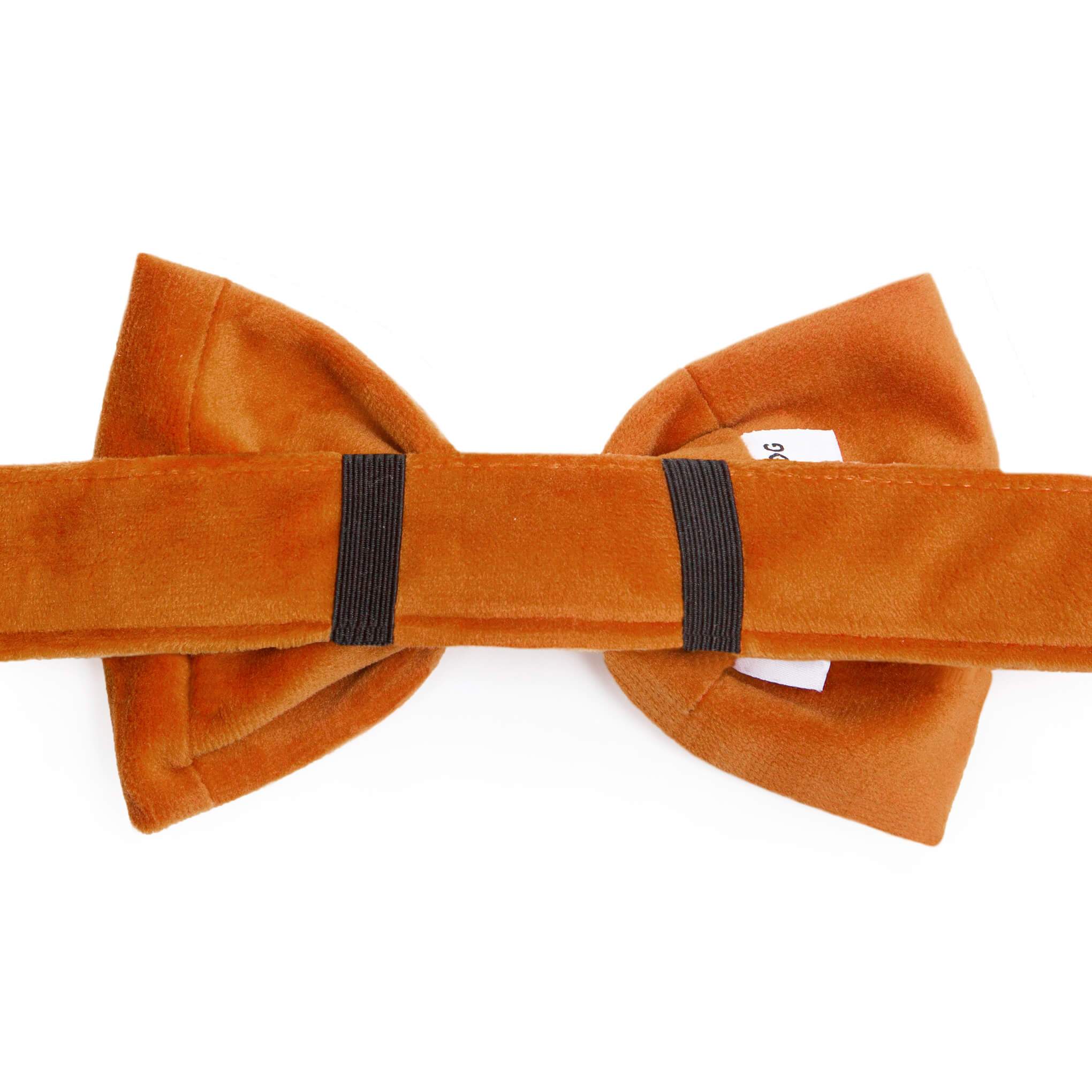 Pumpkin Velvet Dog Bow Tie - Gabrielle's Biloxi