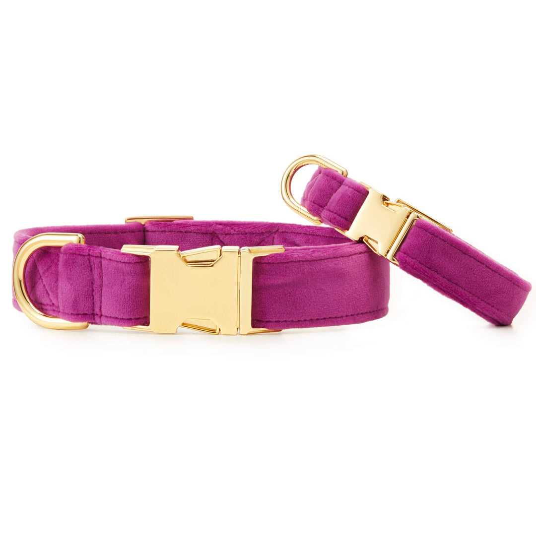 Plum Velvet Dog Collar - Gabrielle's Biloxi