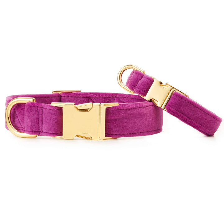 Plum Velvet Dog Collar - Gabrielle's Biloxi