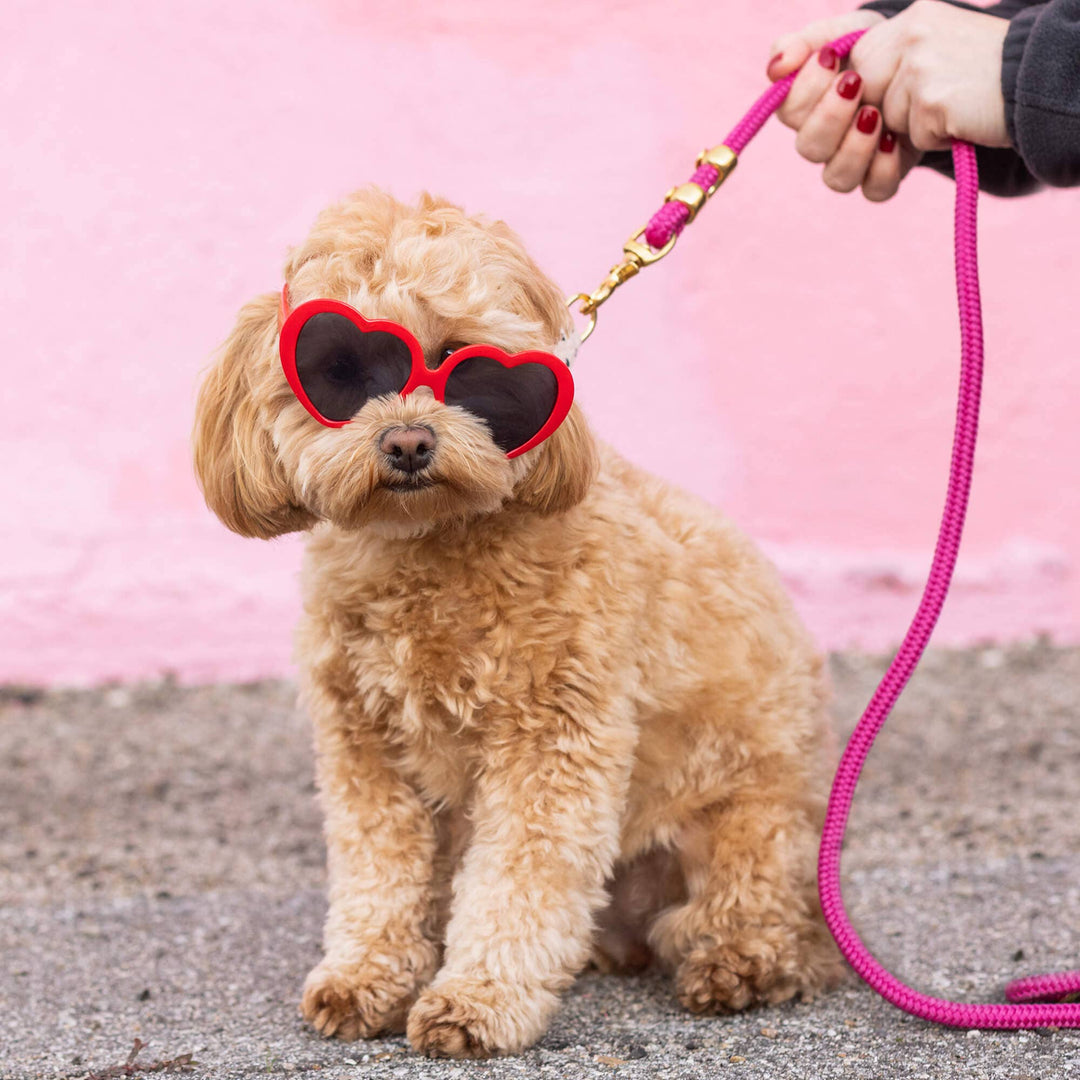 Hot Pink Marine Rope Dog Leash - Gabrielle's Biloxi