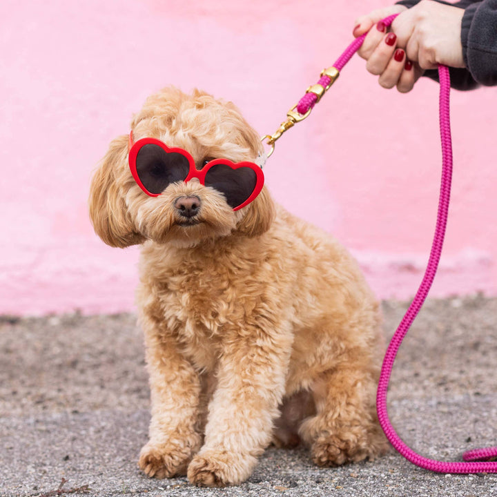 Hot Pink Marine Rope Dog Leash - Gabrielle's Biloxi