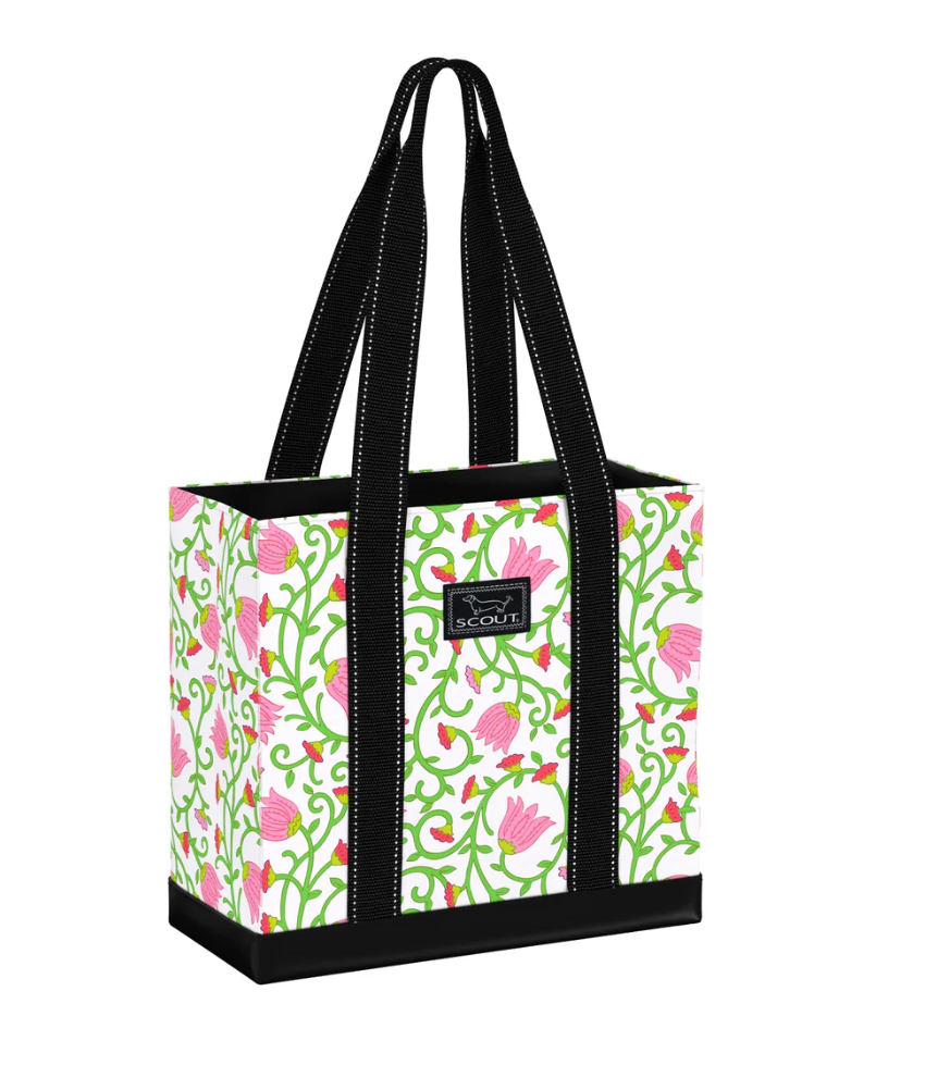 Scout Mini Deano - Late Bloomer - Gabrielle's Biloxi