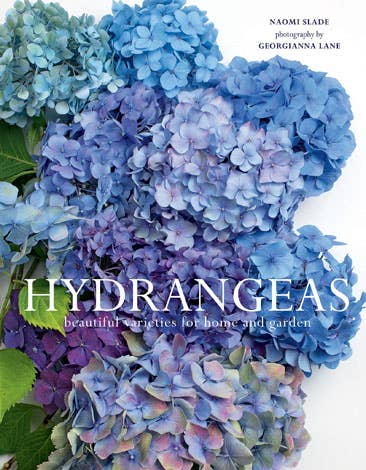 Hydrangeas: Beautiful Varieties for Home & Garden - Gabrielle's Biloxi