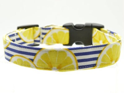 Cruz & Regis Lemon Stripe Collar - Gabrielle's Biloxi