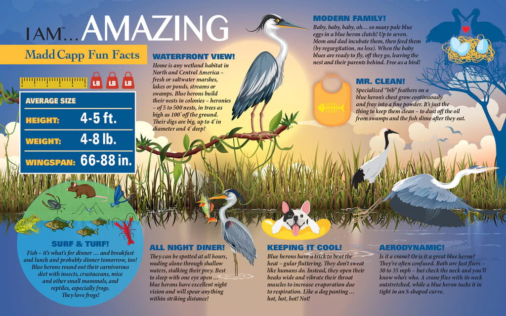 I Am Blue Heron 300 Puzzle - Gabrielle's Biloxi