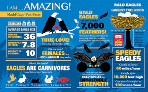 I Am Eagle 550 Puzzle - Gabrielle's Biloxi
