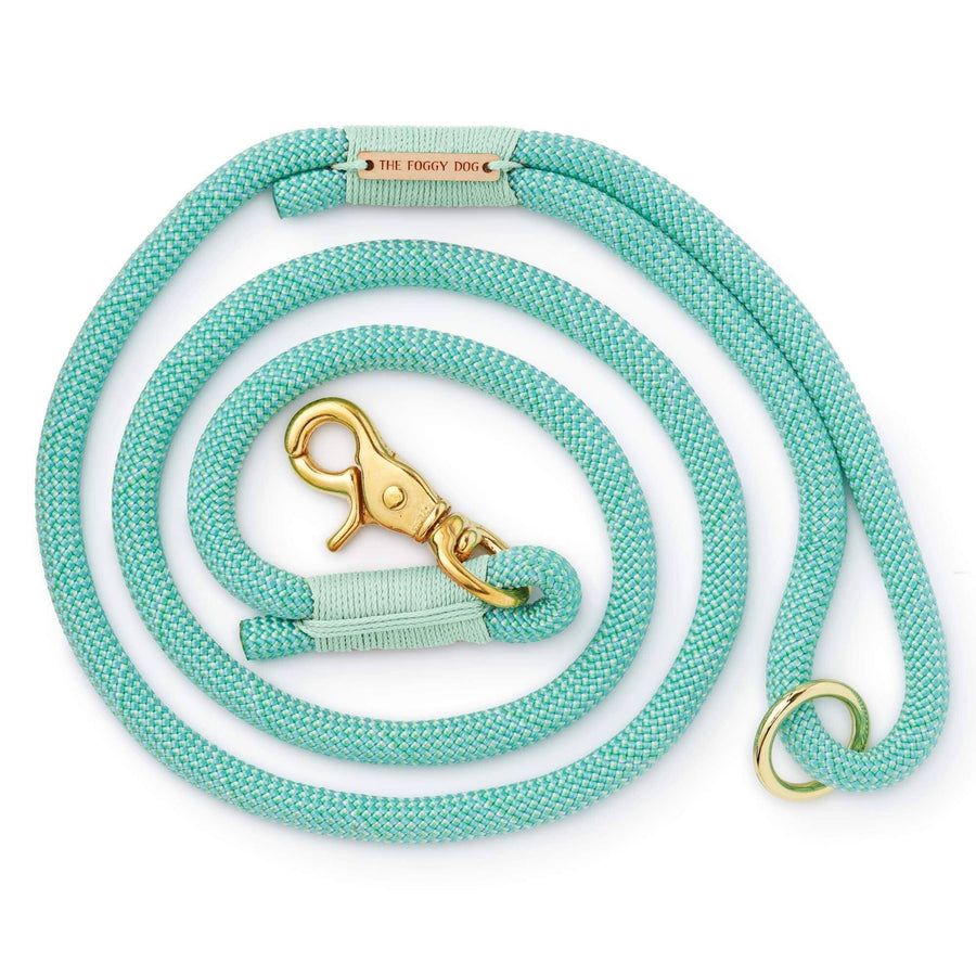 Spearmint Climbing Rope Dog Leash - Mint Cording - Gabrielle's Biloxi