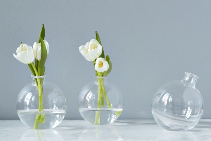 Etu Clear Sphere Vase  5" - Gabrielle&