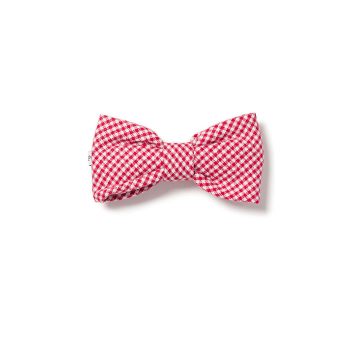 Red Mini Gingham Dog Bow Tie - Gabrielle's Biloxi