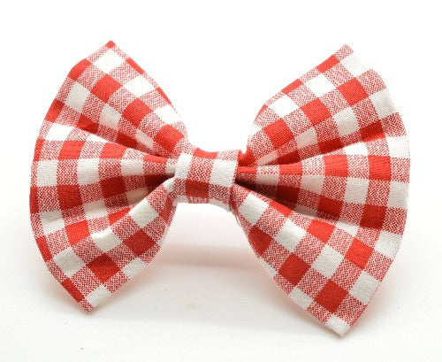 Cruz & Regis Red Gingham Bow Tie - Gabrielle's Biloxi