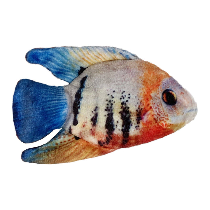 Angelfish for Cats - Gabrielle's Biloxi