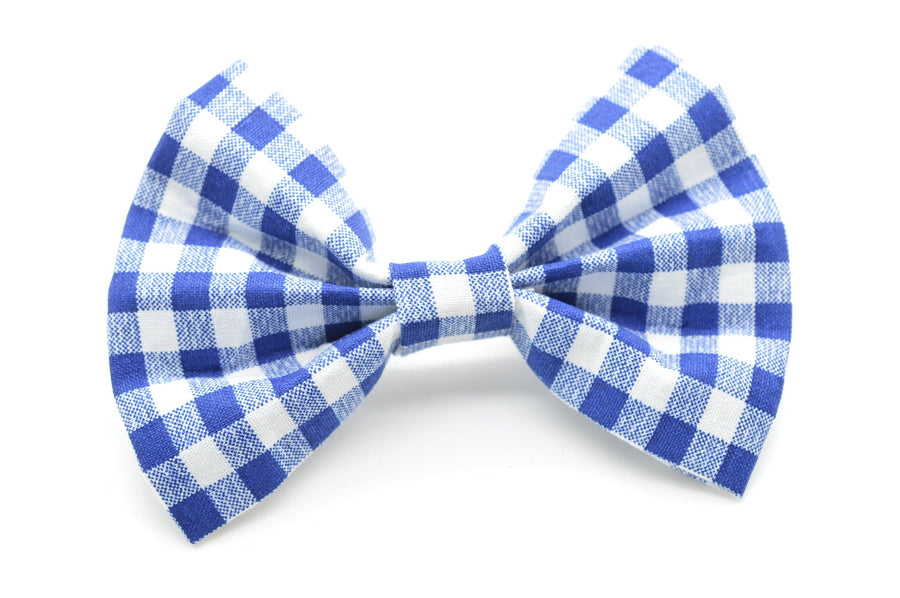 Cruz & Regis Blue Gingham Bow Tie - Gabrielle's Biloxi