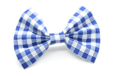 Cruz & Regis Blue Gingham Bow Tie - Gabrielle's Biloxi