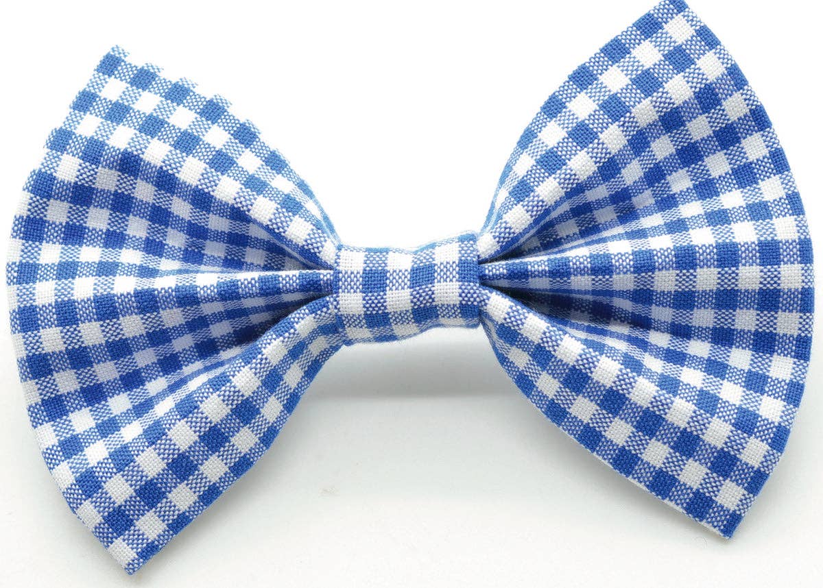 Cruz & Regis Blue Mini Gingham Bow Tie - Gabrielle's Biloxi