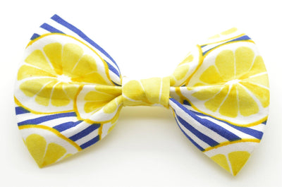 Cruz & Regis Lemon Stripe Bow Tie - Gabrielle's Biloxi