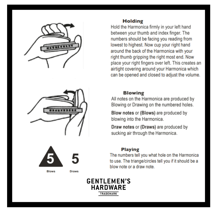 Campfire Harmonica - Gabrielle's Biloxi