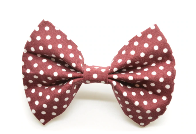 Cruz & Regis Bow Tie - Bogie - Gabrielle's Biloxi
