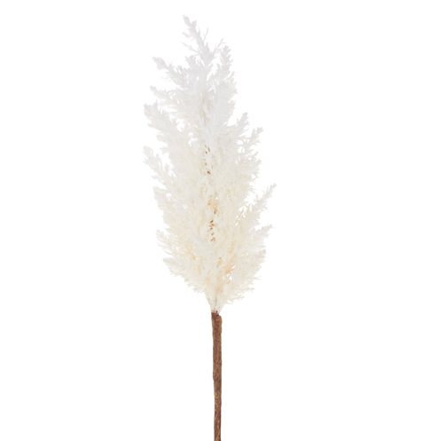 Pampas Grass Stem - Gabrielle's Biloxi