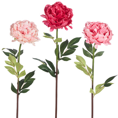 Real Touch Peony Stem Assorted - Gabrielle's Biloxi