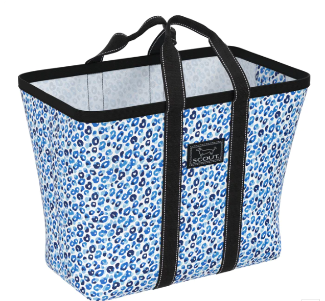 Scout Pop N Drop Small - Teacher's Pet - Gabrielle's Biloxi