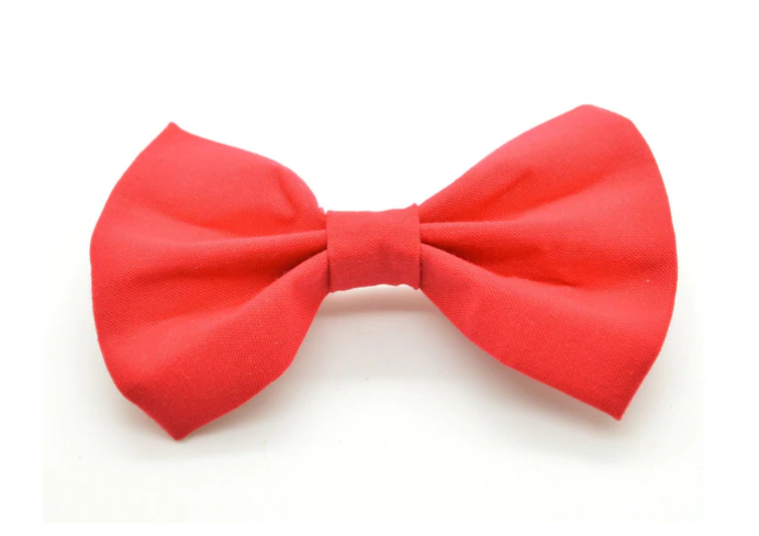 Cruz & Regis Bow Tie - Rodeo - Gabrielle's Biloxi