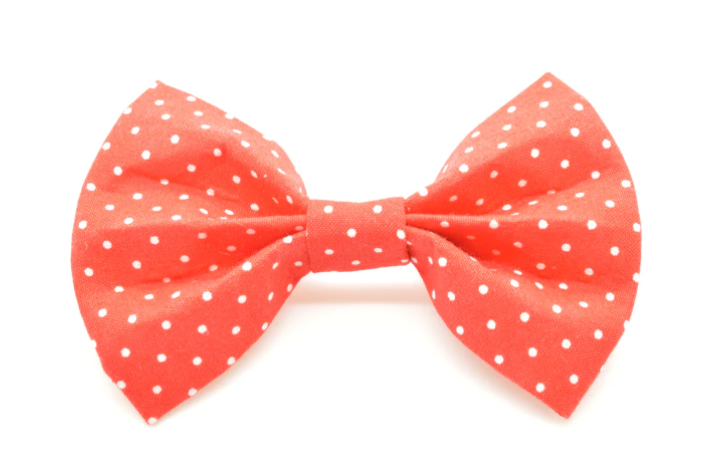 Cruz & Regis Bow Tie - Bangles - Gabrielle's Biloxi
