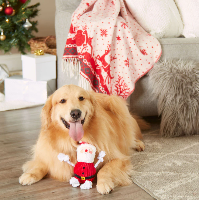 Real Santa Claus Dog Toy - Gabrielle's Biloxi